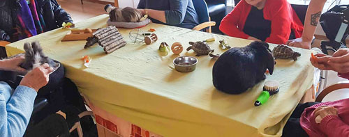 animation animaliere 3